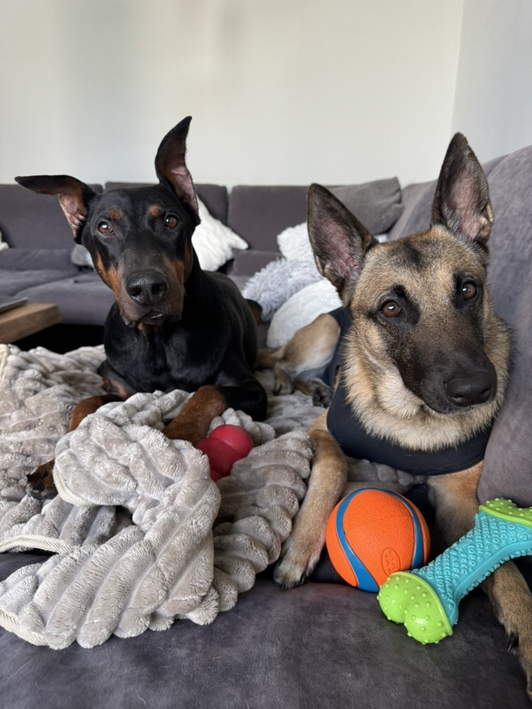 Skyla und Agafay gemeinsam